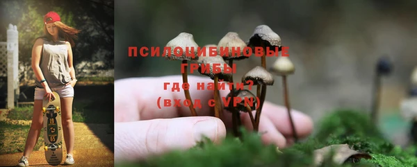 круглые Вязьма