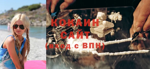 прущая мука Бородино