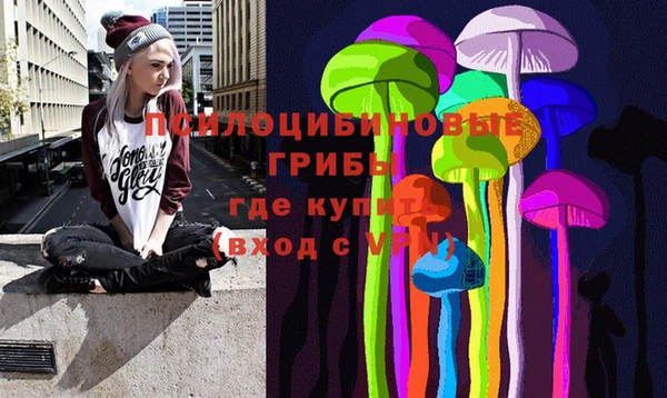 круглые Вязьма