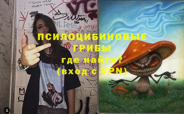 стаф Верхний Тагил