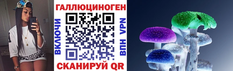 Галлюциногенные грибы Magic Shrooms  hydra зеркало  Дубовка 