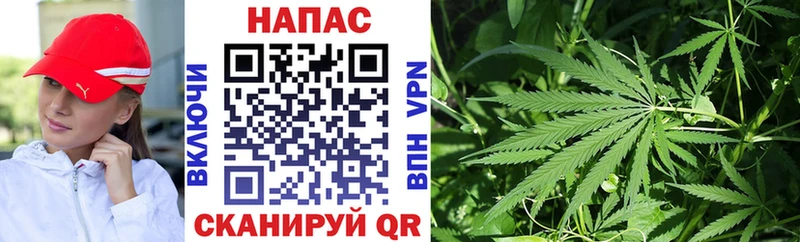 МАРИХУАНА индика  где купить наркотик  Дубовка 